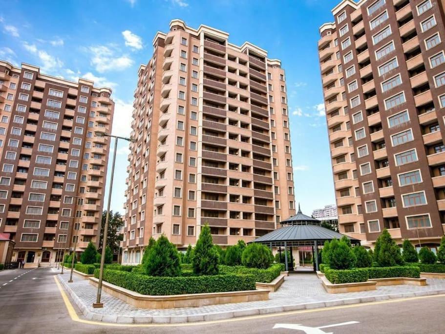 Urban Oasis City View 2 BR