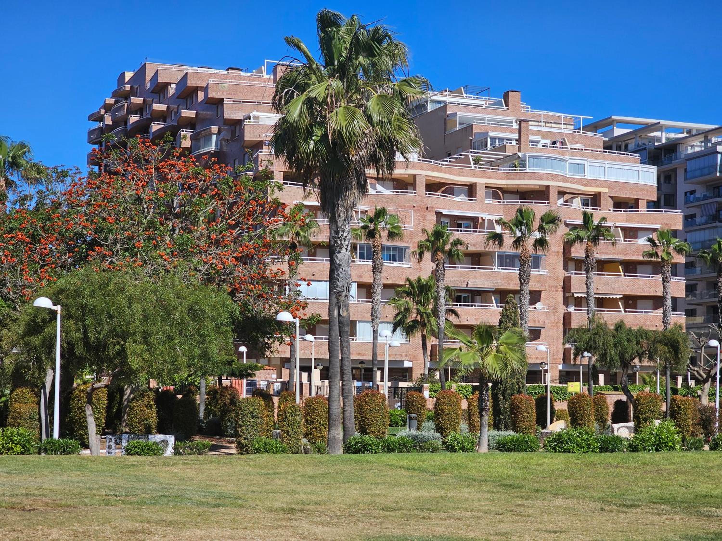 Apartamento Acapulco III Primera linea