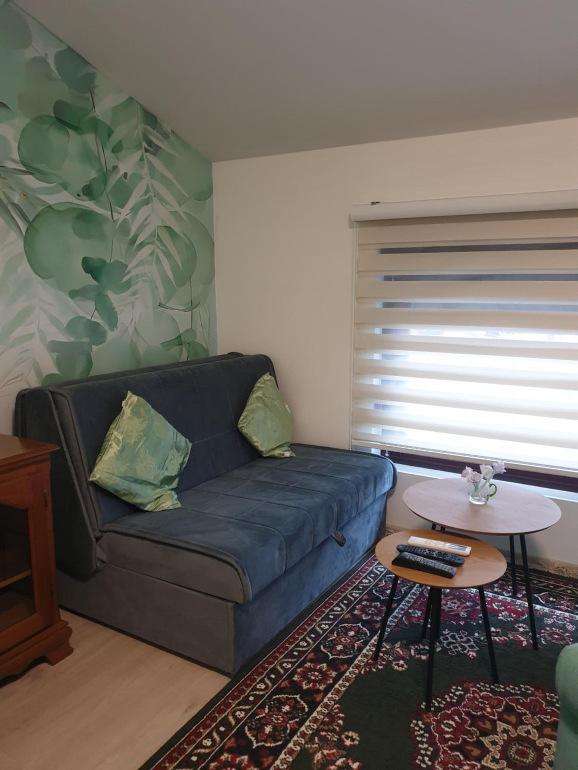 Apartman Willow