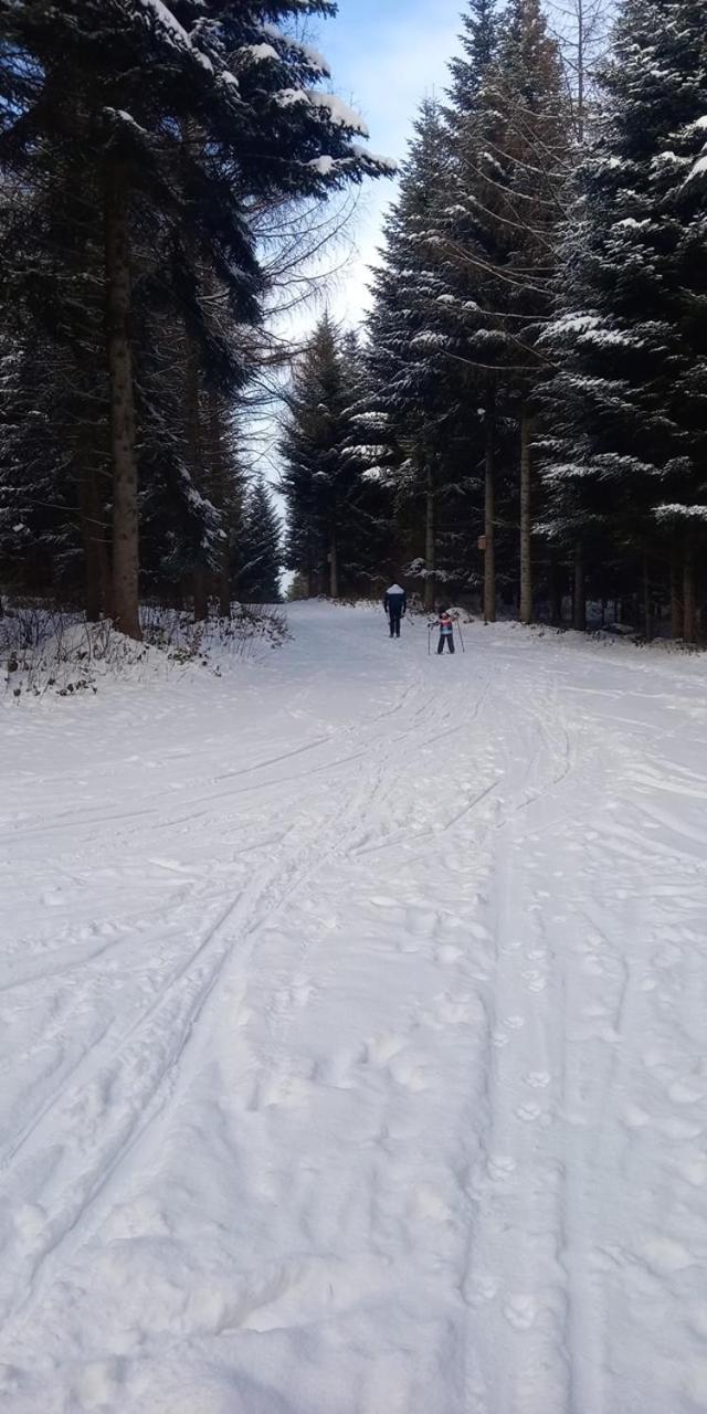 Domki Brzozówka w Bieszczadach
