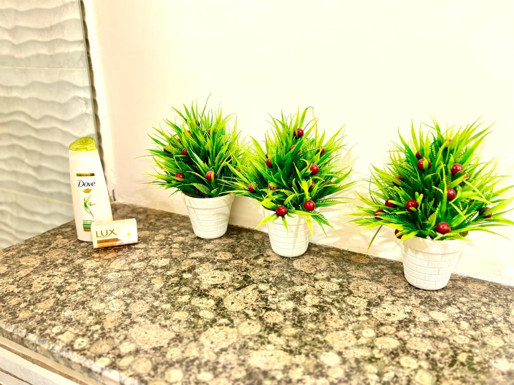 Photo 51