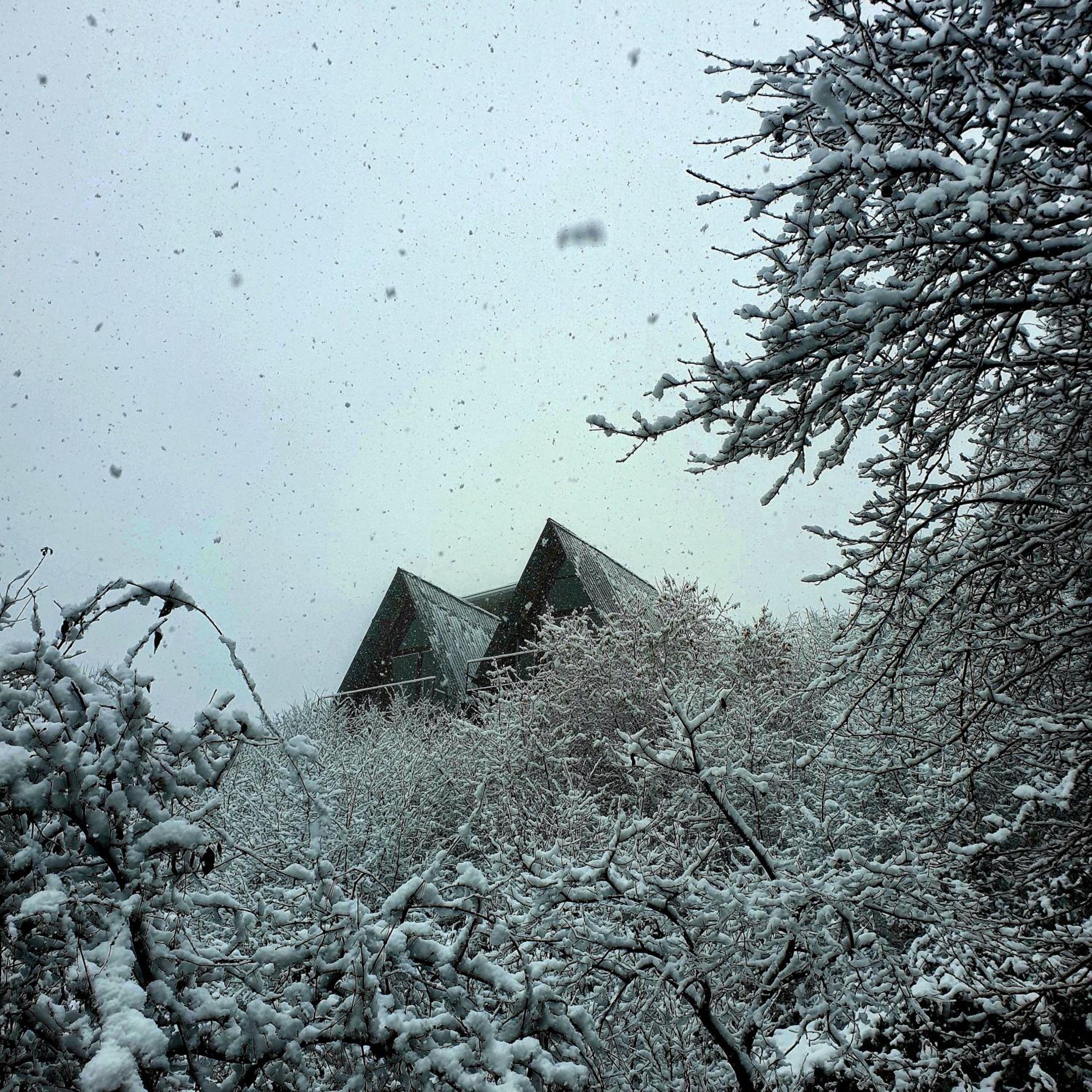 Wayside Cottage