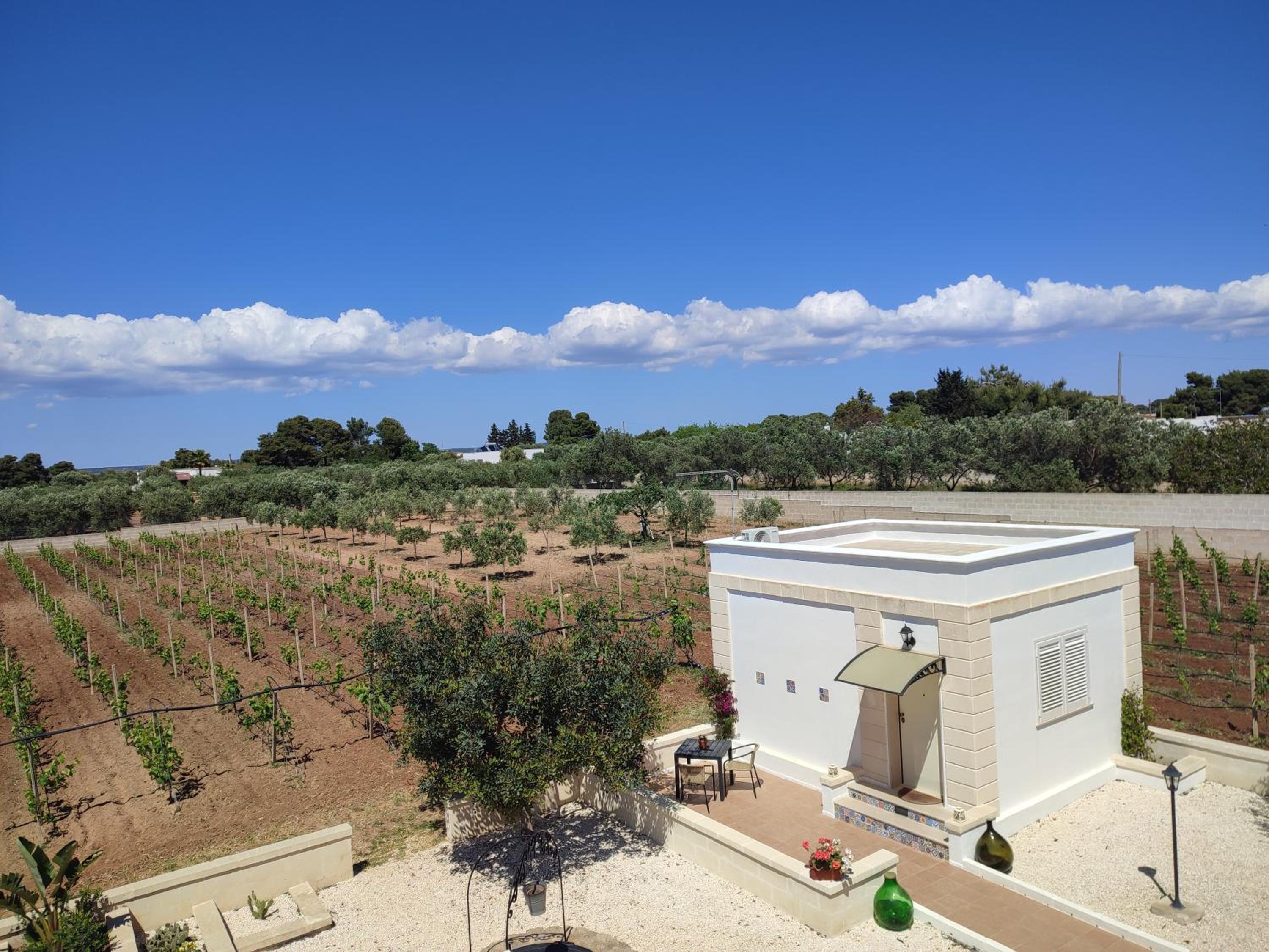 Le Anfore del Salento Bed and Breakfast