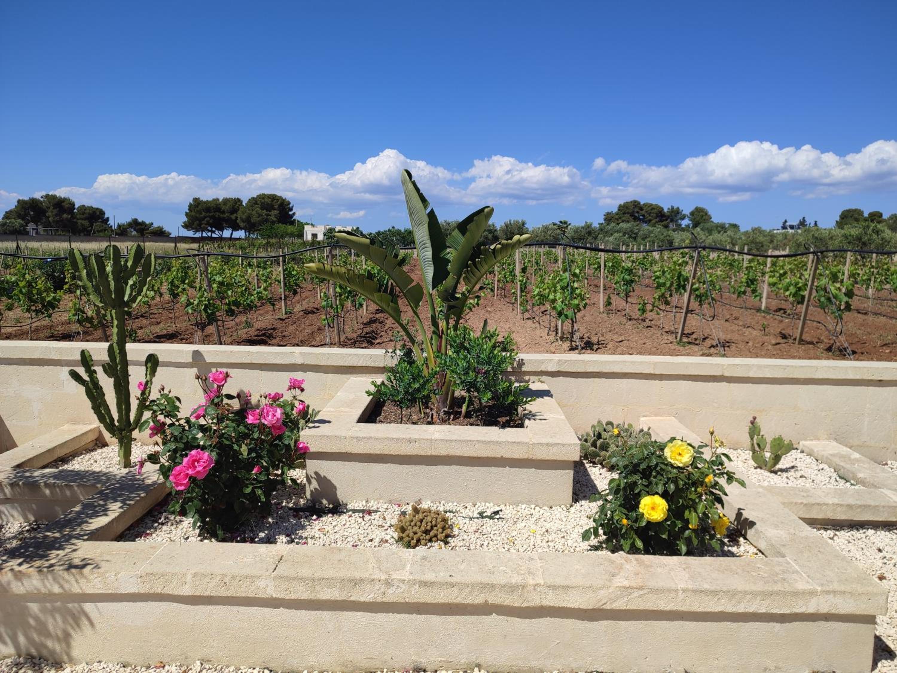 Le Anfore del Salento Bed and Breakfast
