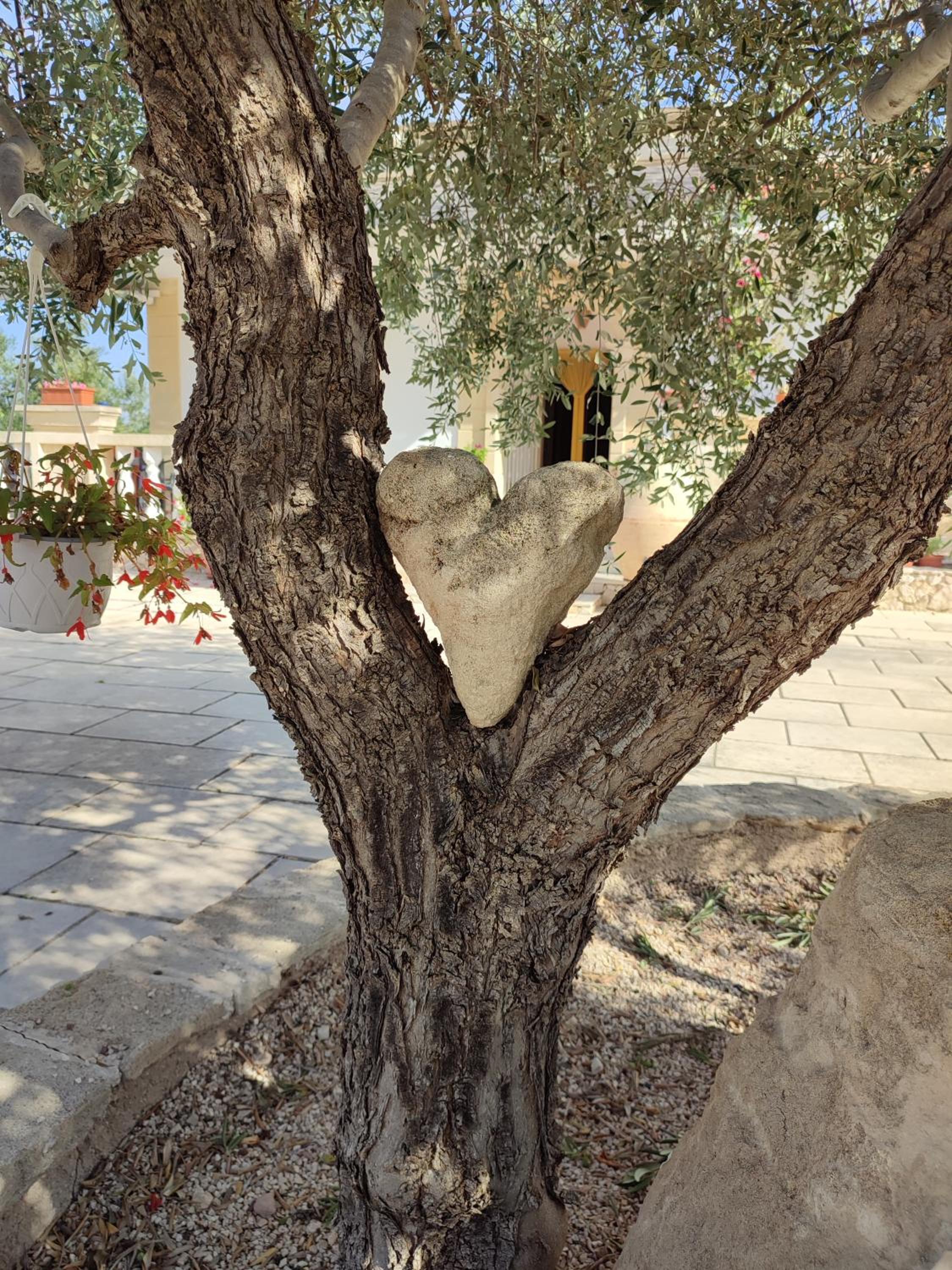 Le Anfore del Salento Bed and Breakfast