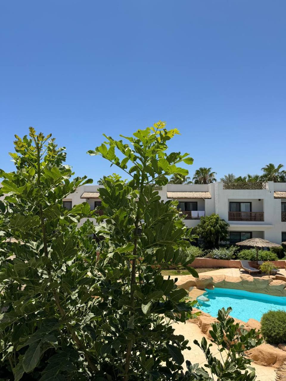 Domina Coral Bay HAREM POOL