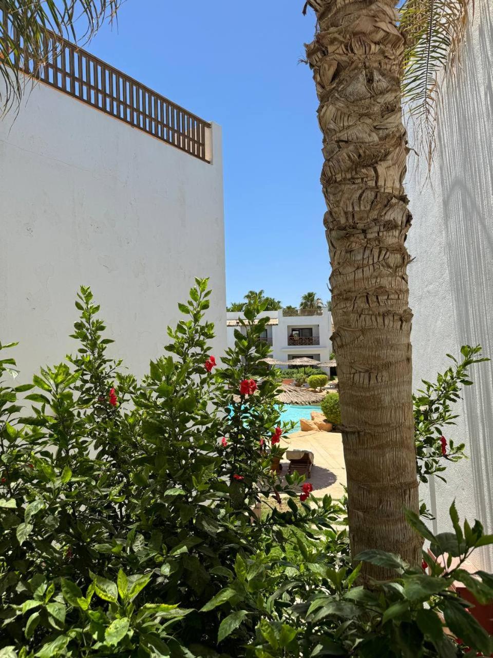 Domina Coral Bay HAREM POOL