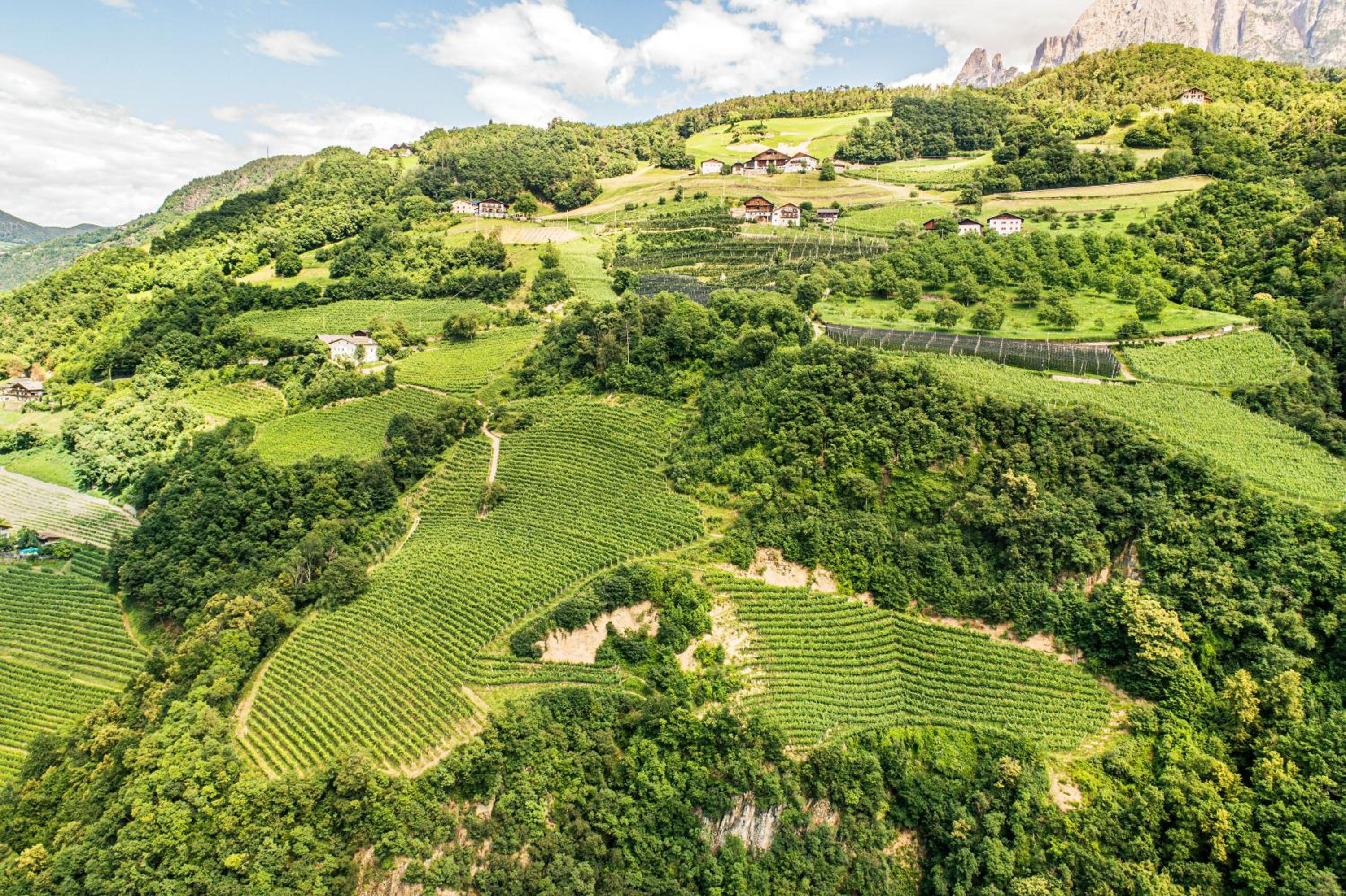 Grottnerhof view 5