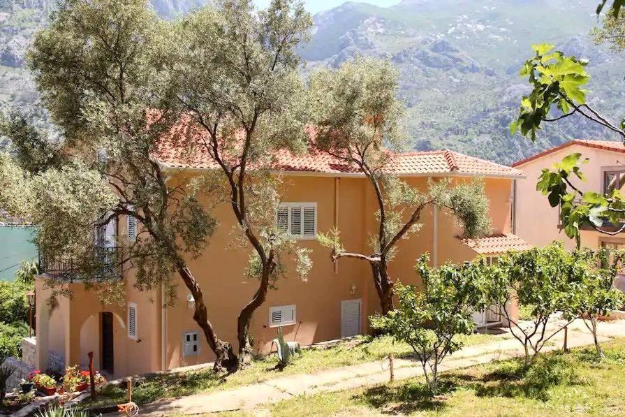 Villa Igor