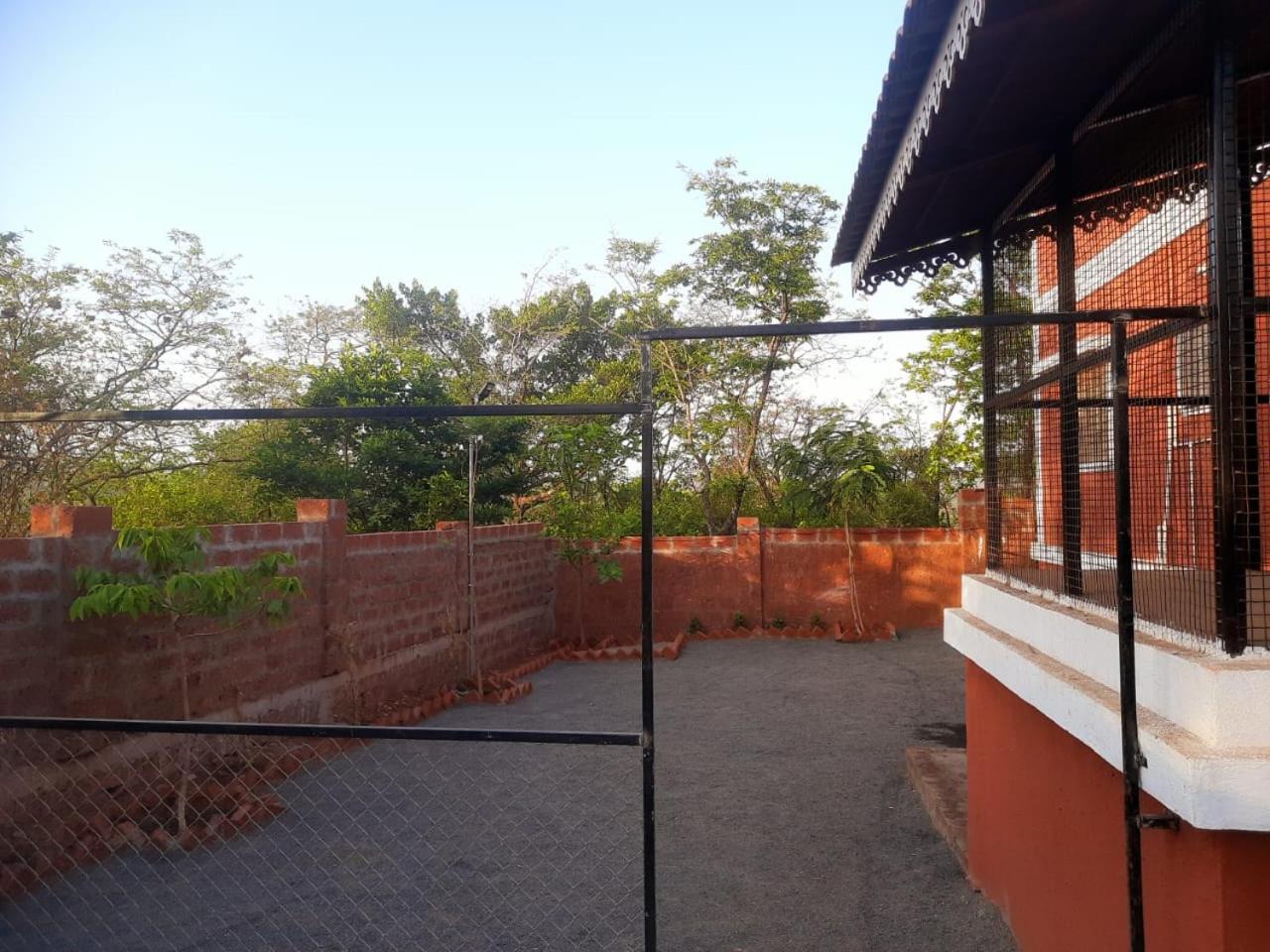 Photo 8