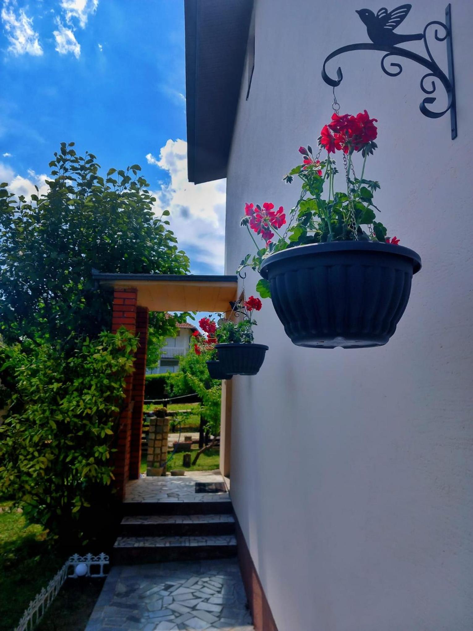 Apartman Aurora
