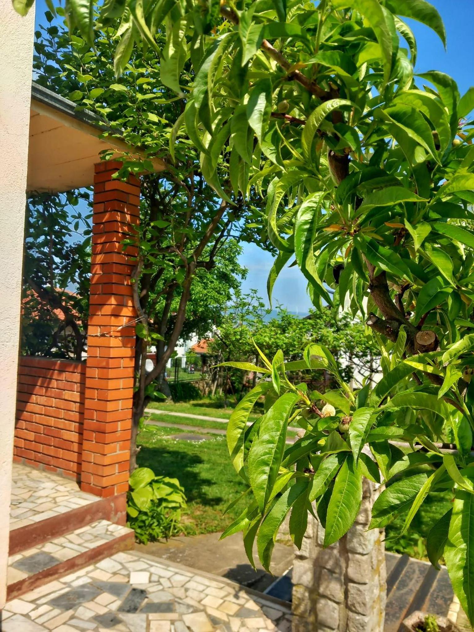 Apartman Aurora