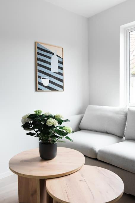 New Apartment in the City Center