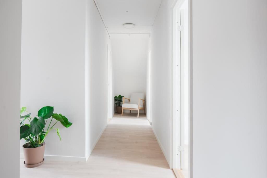 New Apartment in the City Center