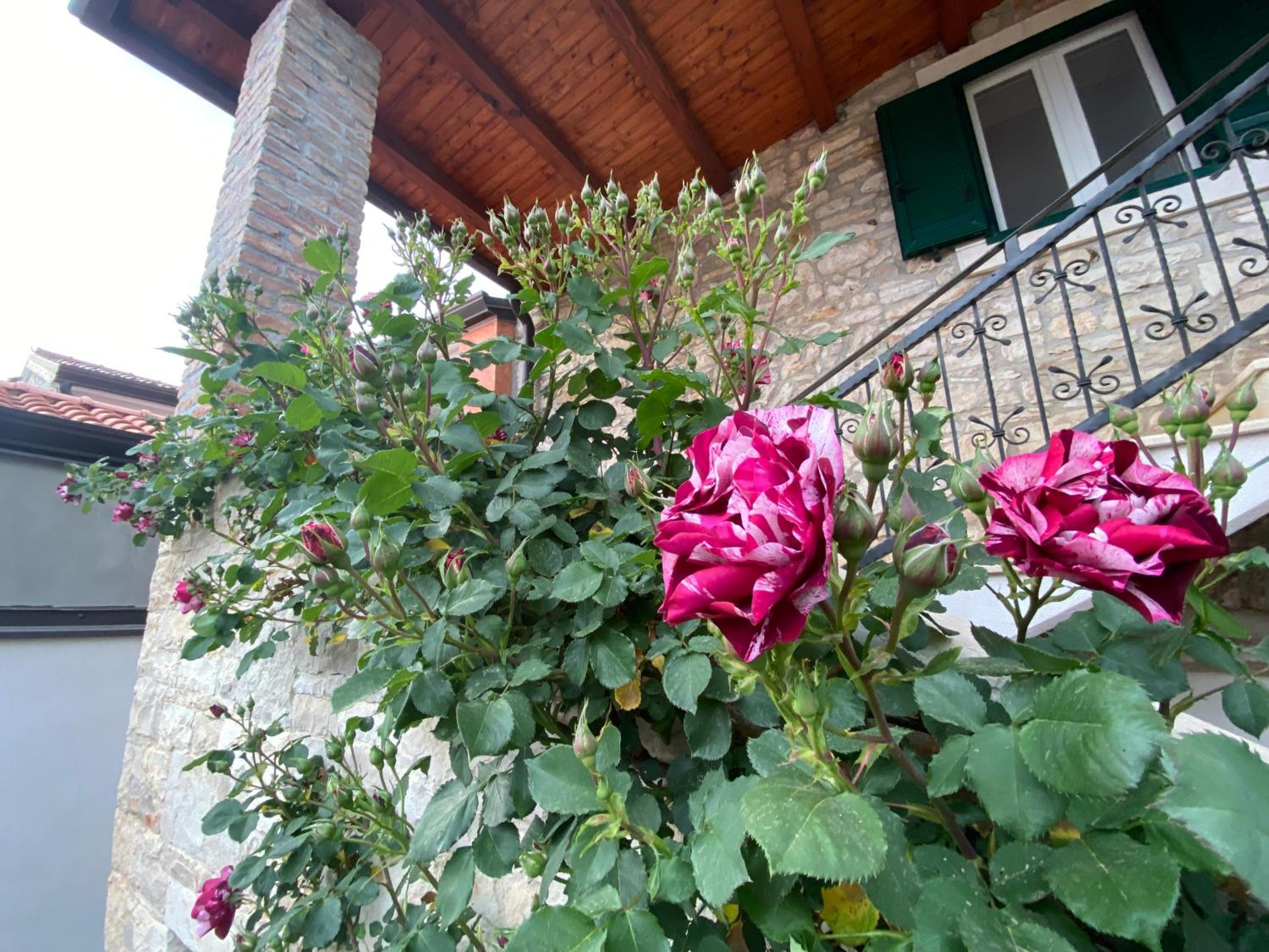 Photo 34