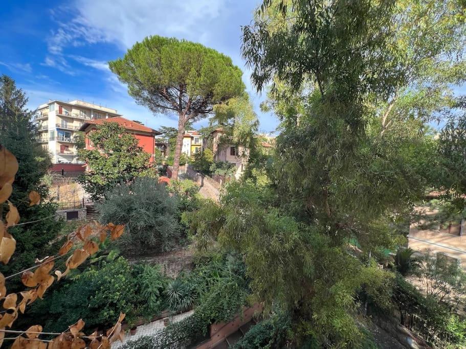 6Ponza Mansion Nature