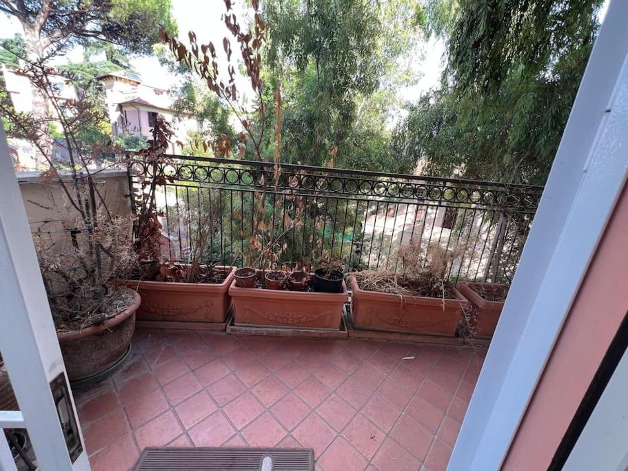 6Ponza Mansion Nature