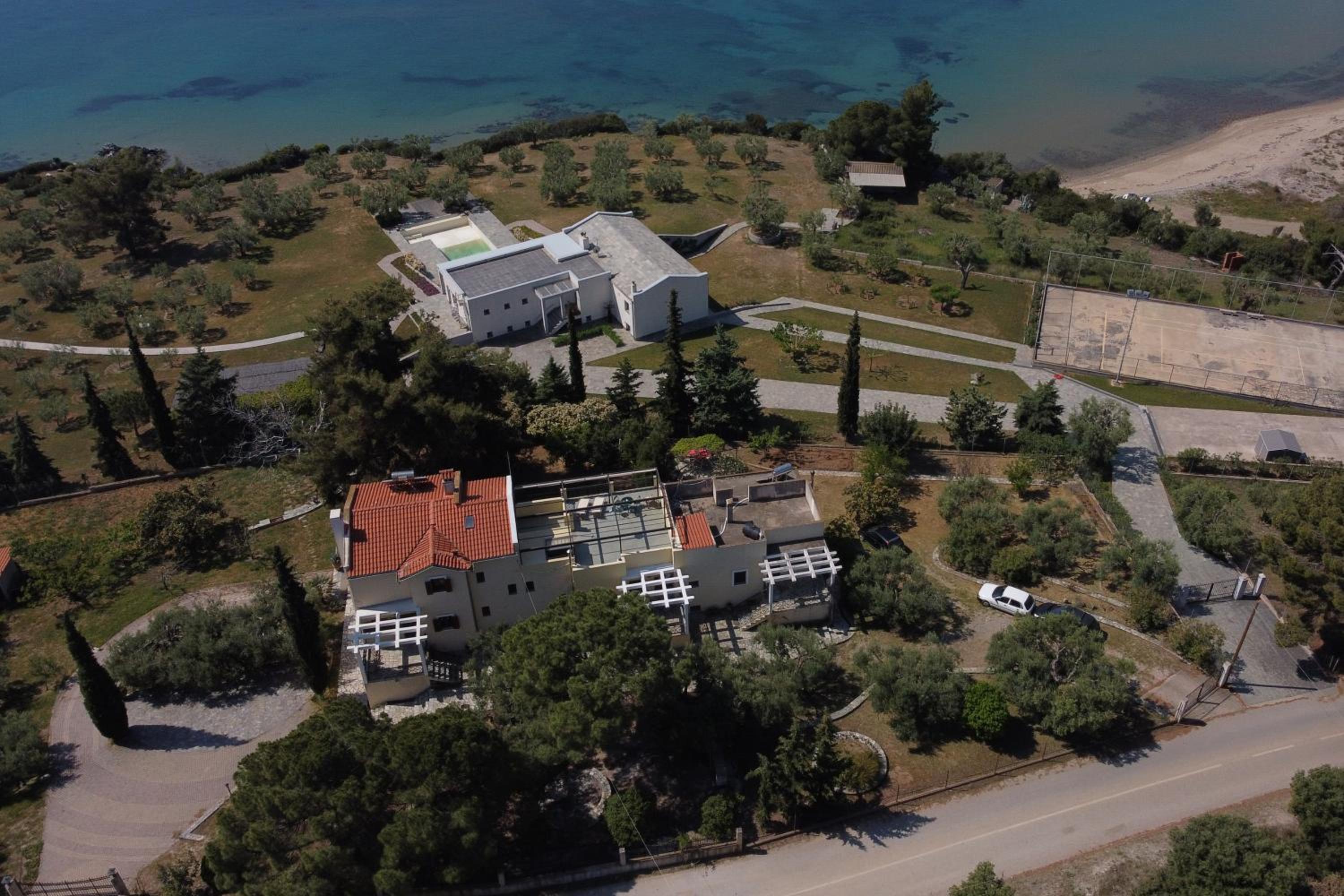 3 Olive Trees - Sithonia