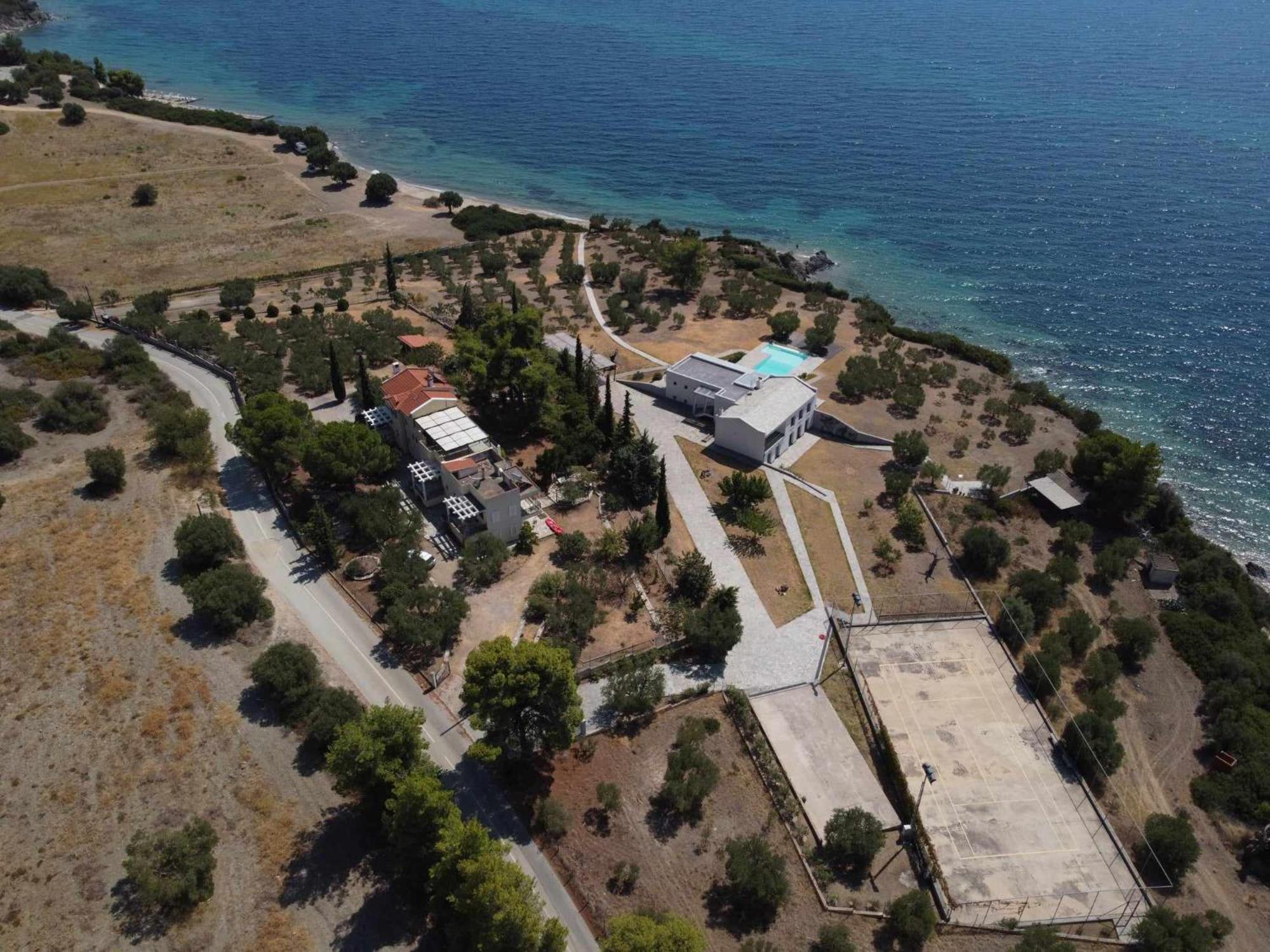 3 Olive Trees - Sithonia