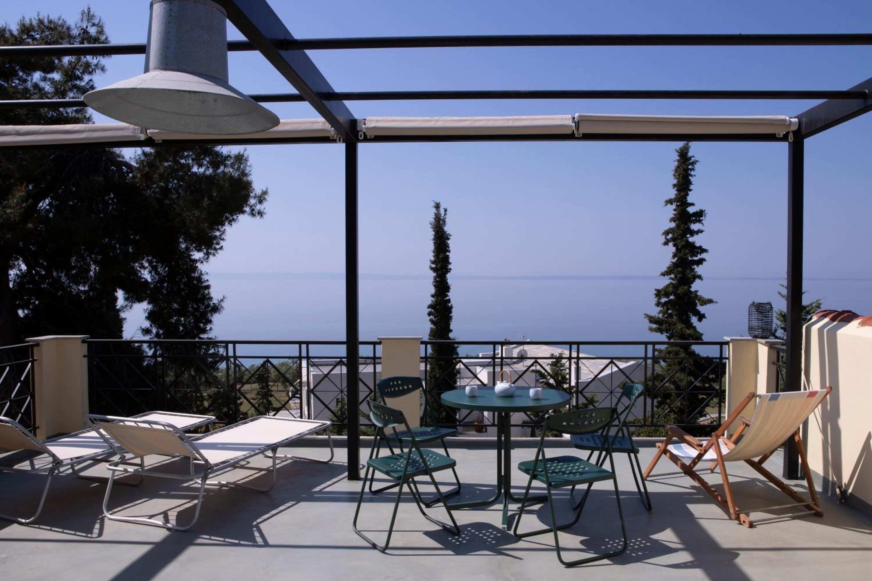 3 Olive Trees - Sithonia