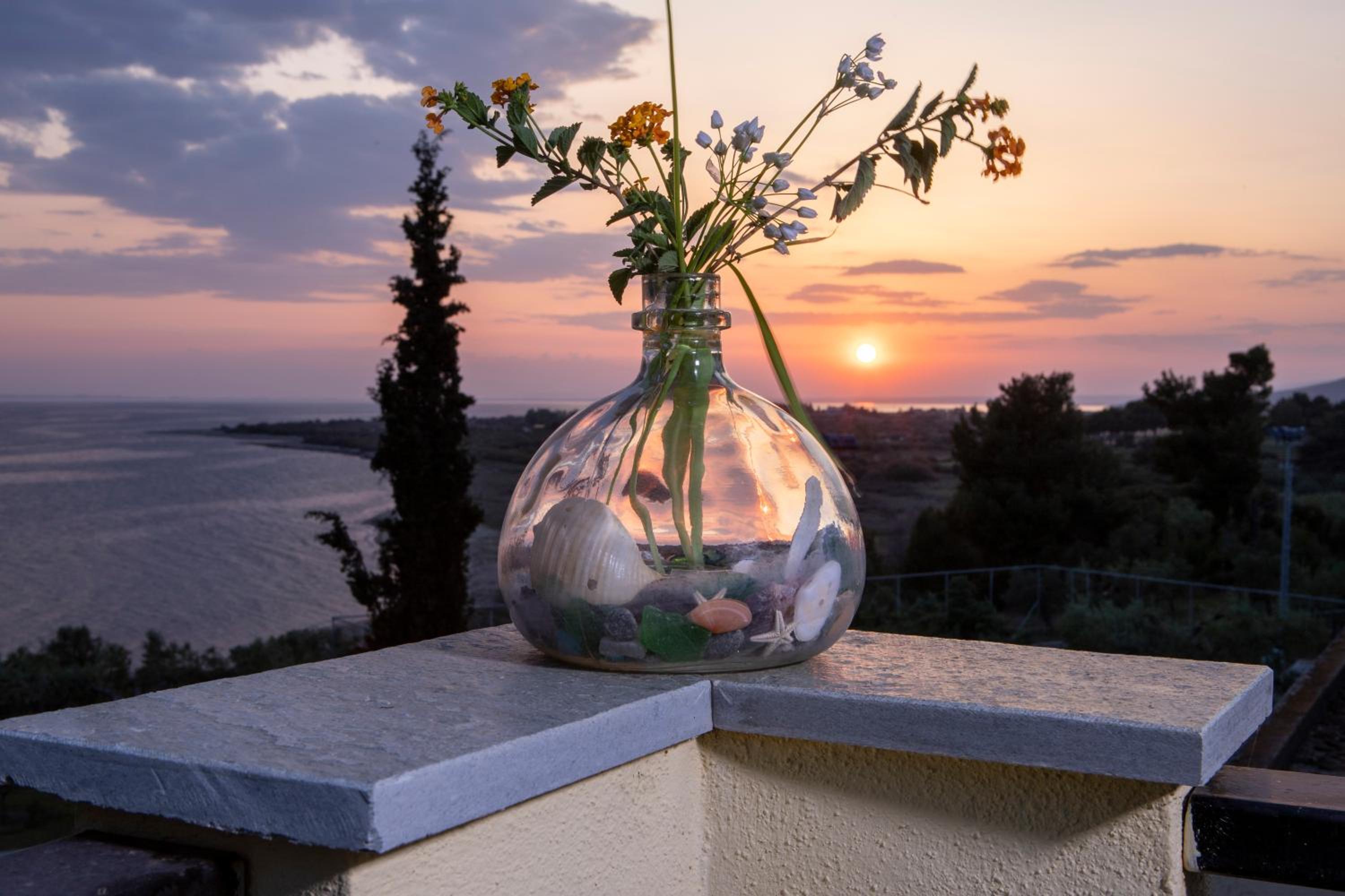 3 Olive Trees - Sithonia