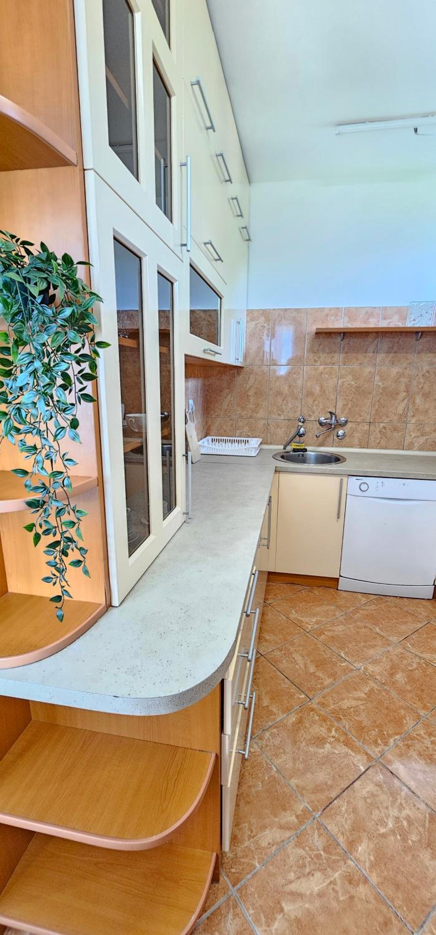 Apartment Ksenija