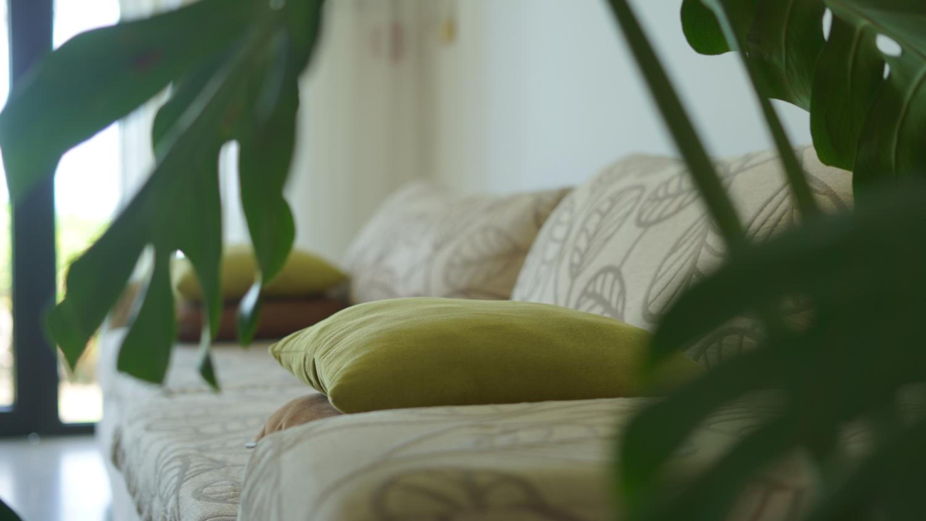 Dreamers House Vung Tau - a beachfront villa view 3