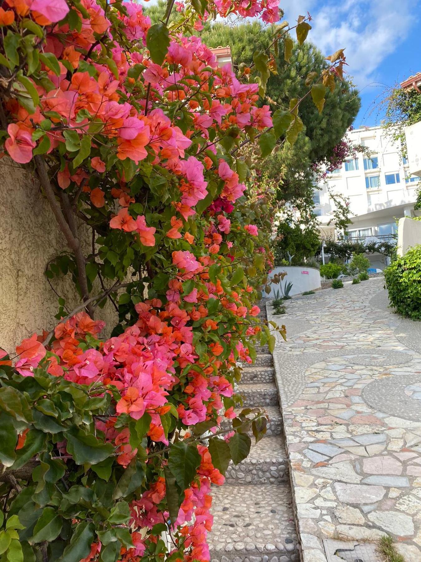 Superior Private Apartment at the Resort in Sarande