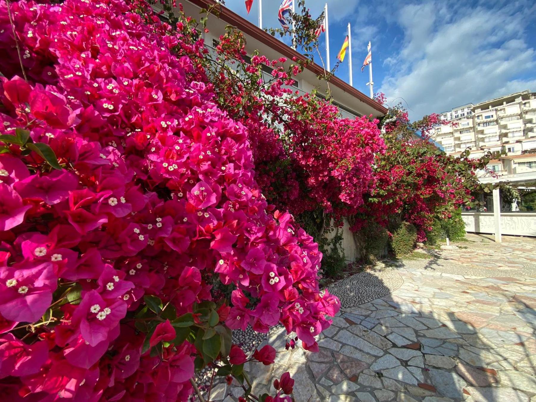 Superior Private Apartment at the Resort in Sarande