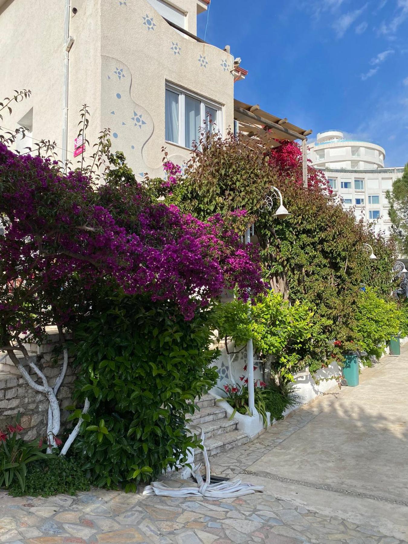 Superior Private Apartment at the Resort in Sarande
