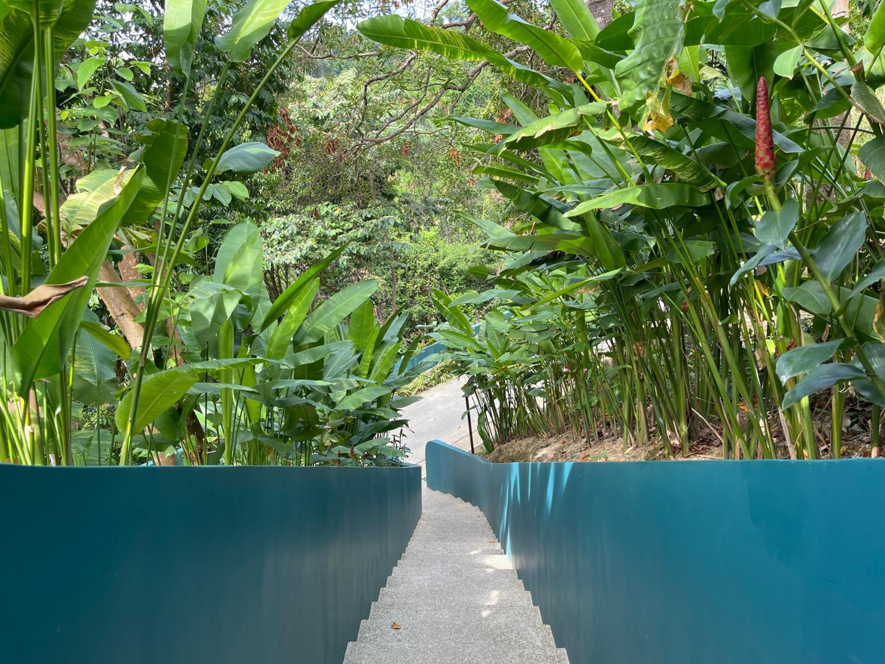 Karuna El Nido Villas — photo 124