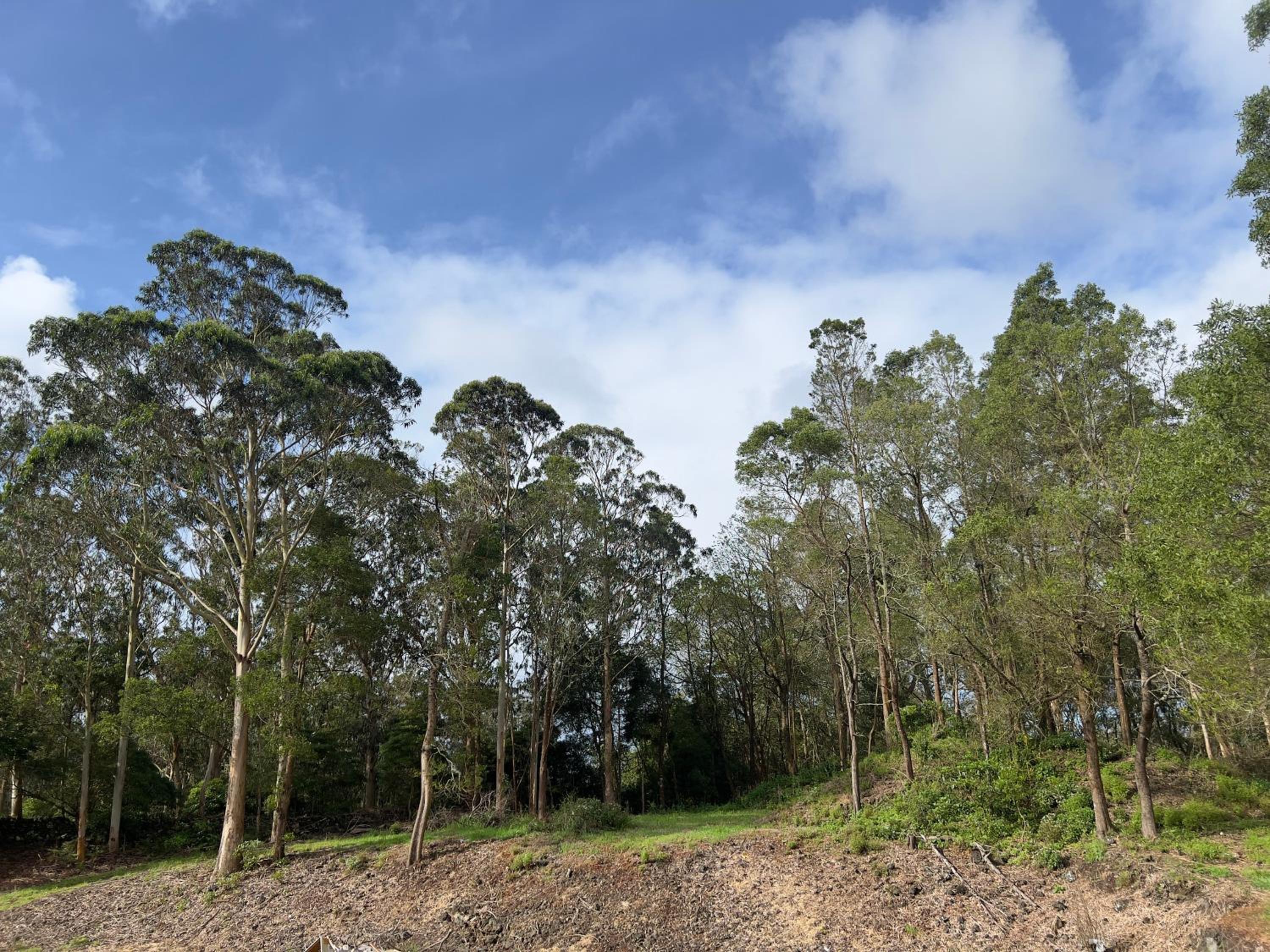 Quinta da Vigia view 3