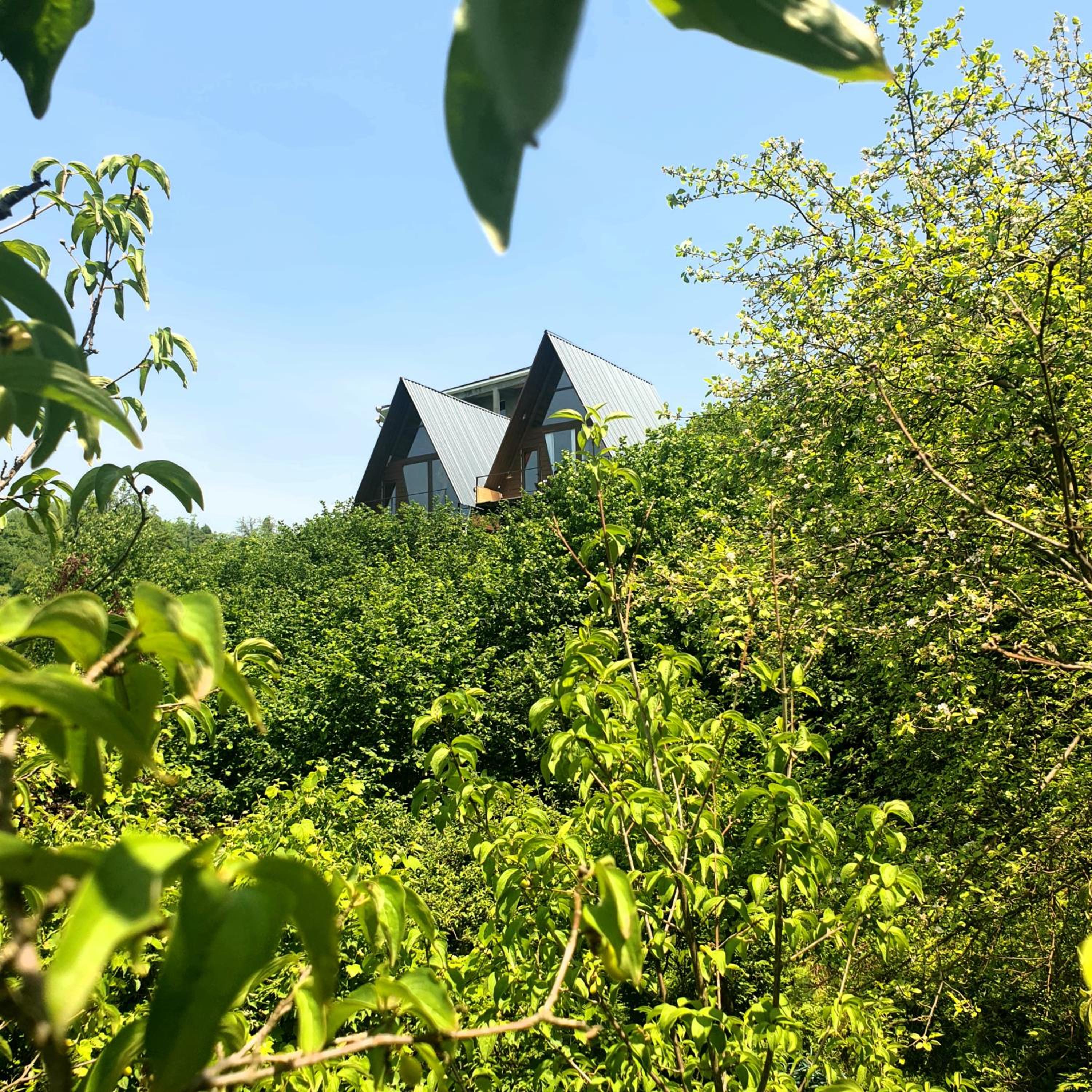 Wayside Cottage