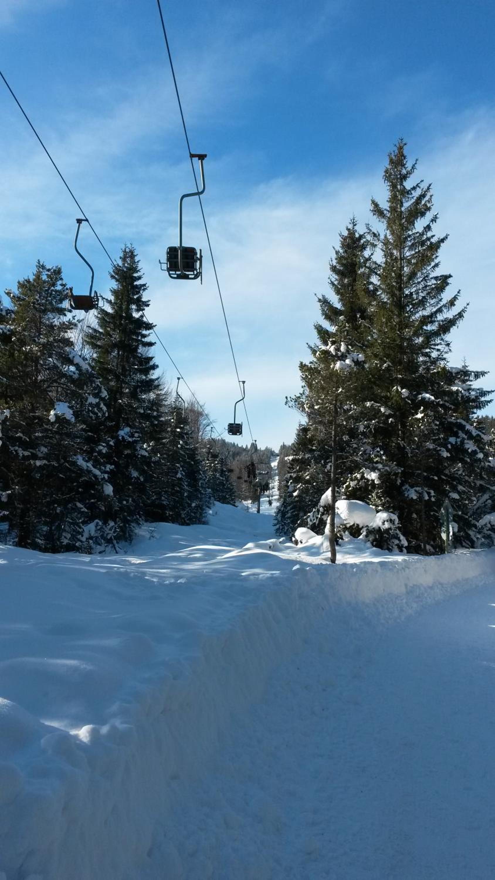 Alpenappartements Schwalbennestl