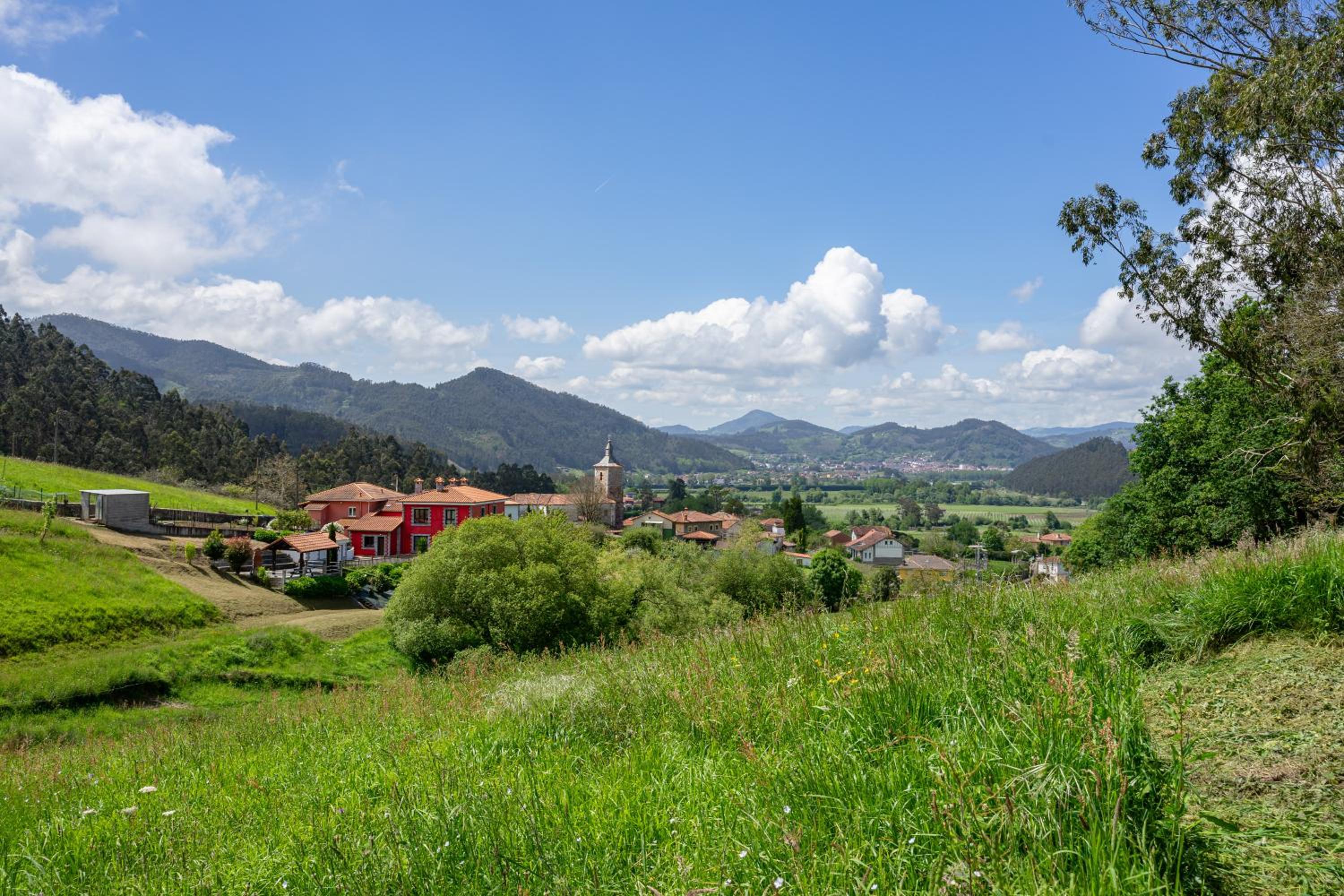 Trichorio