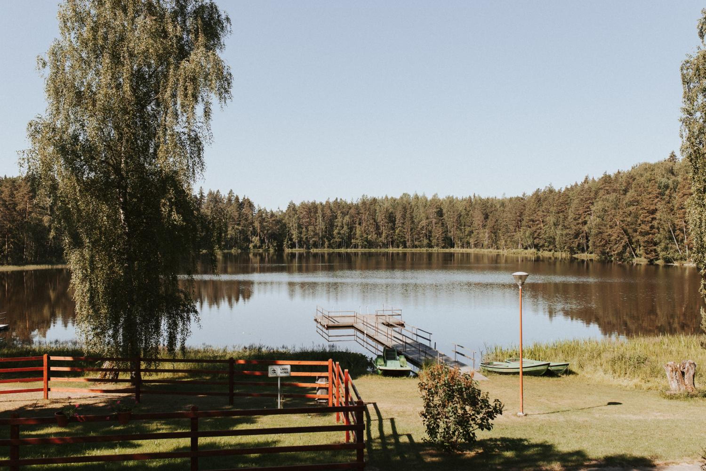 Photo 44