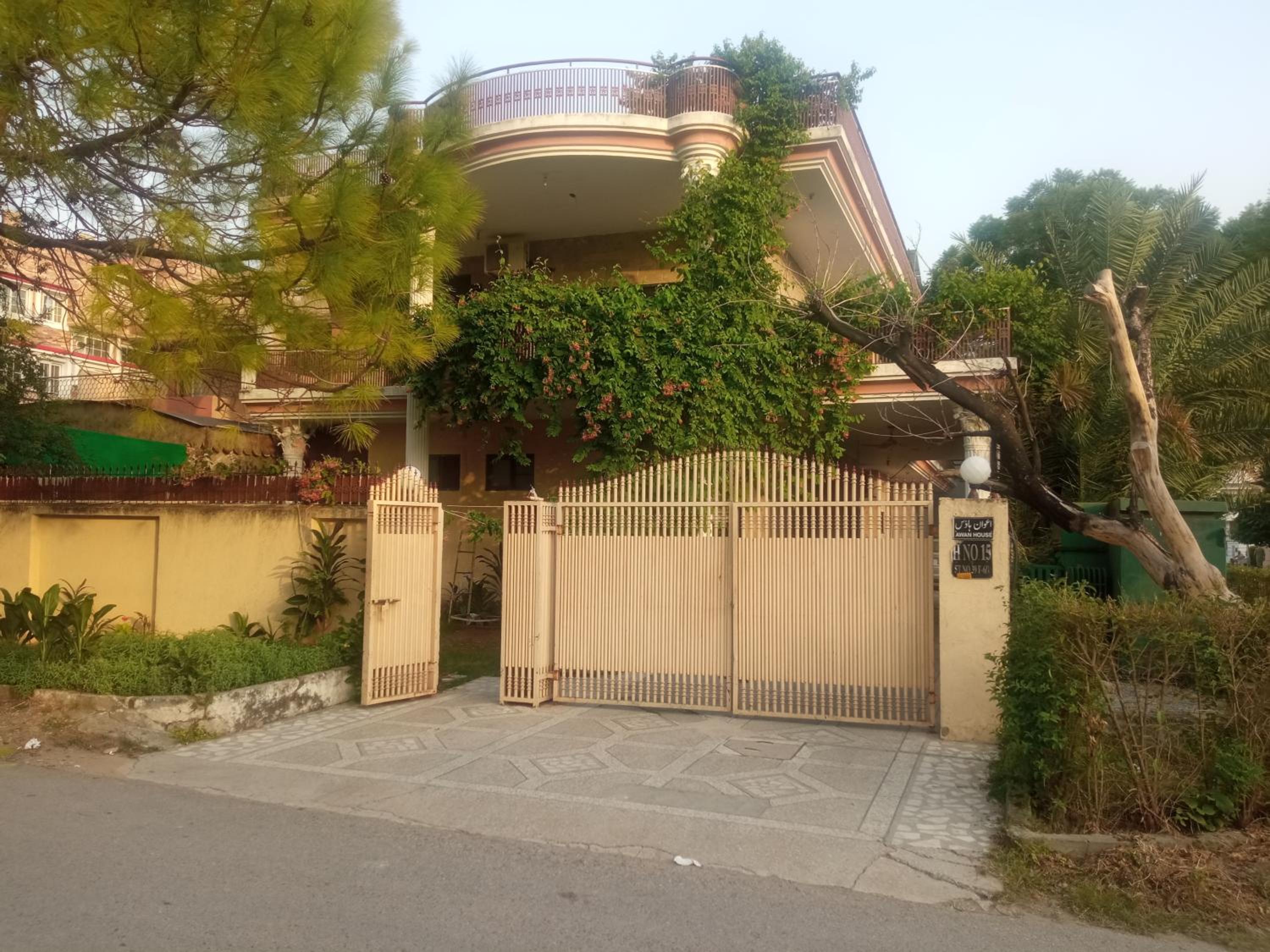 Photo 11