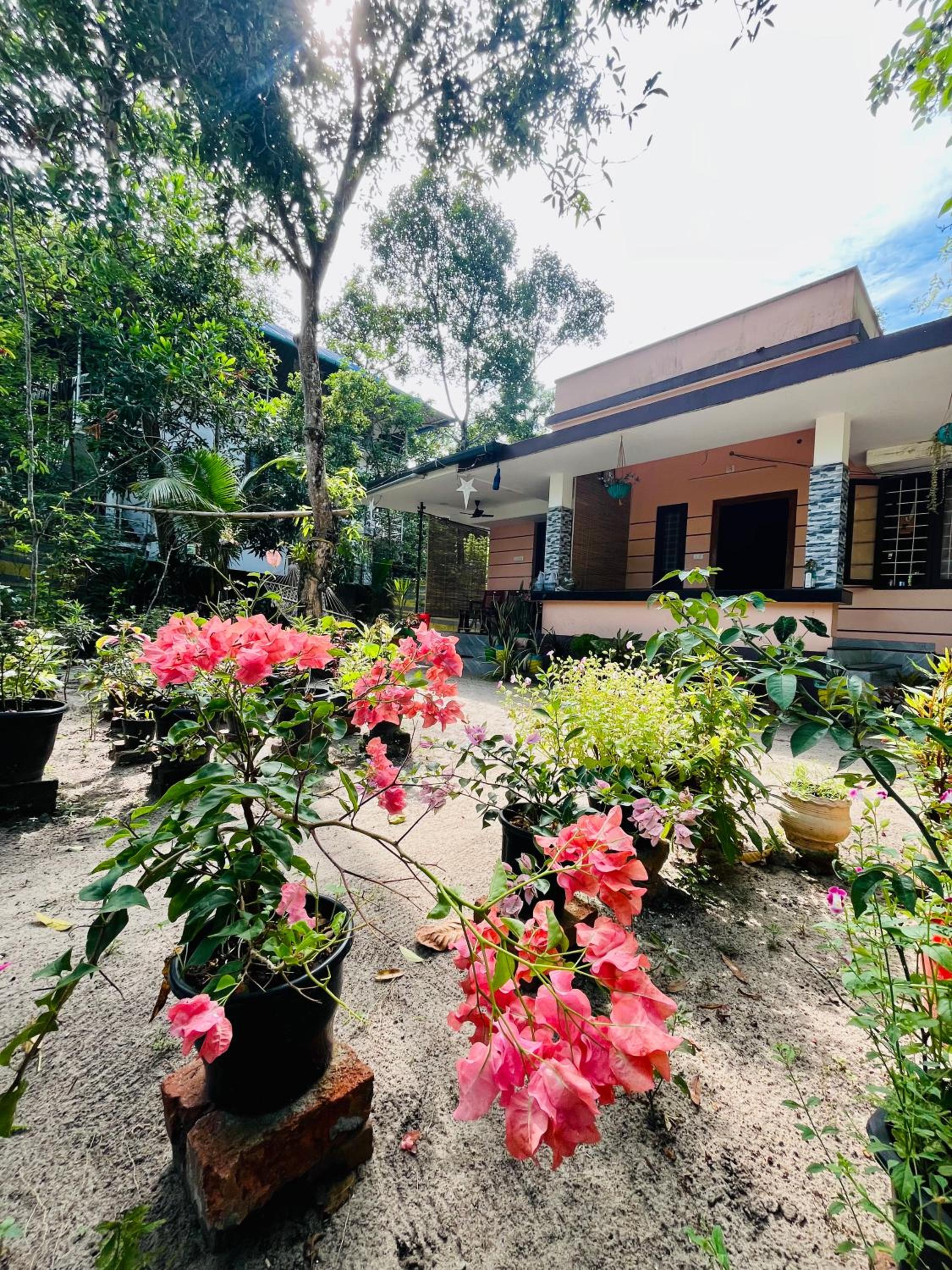 Marari kallyani beach homestay view 3