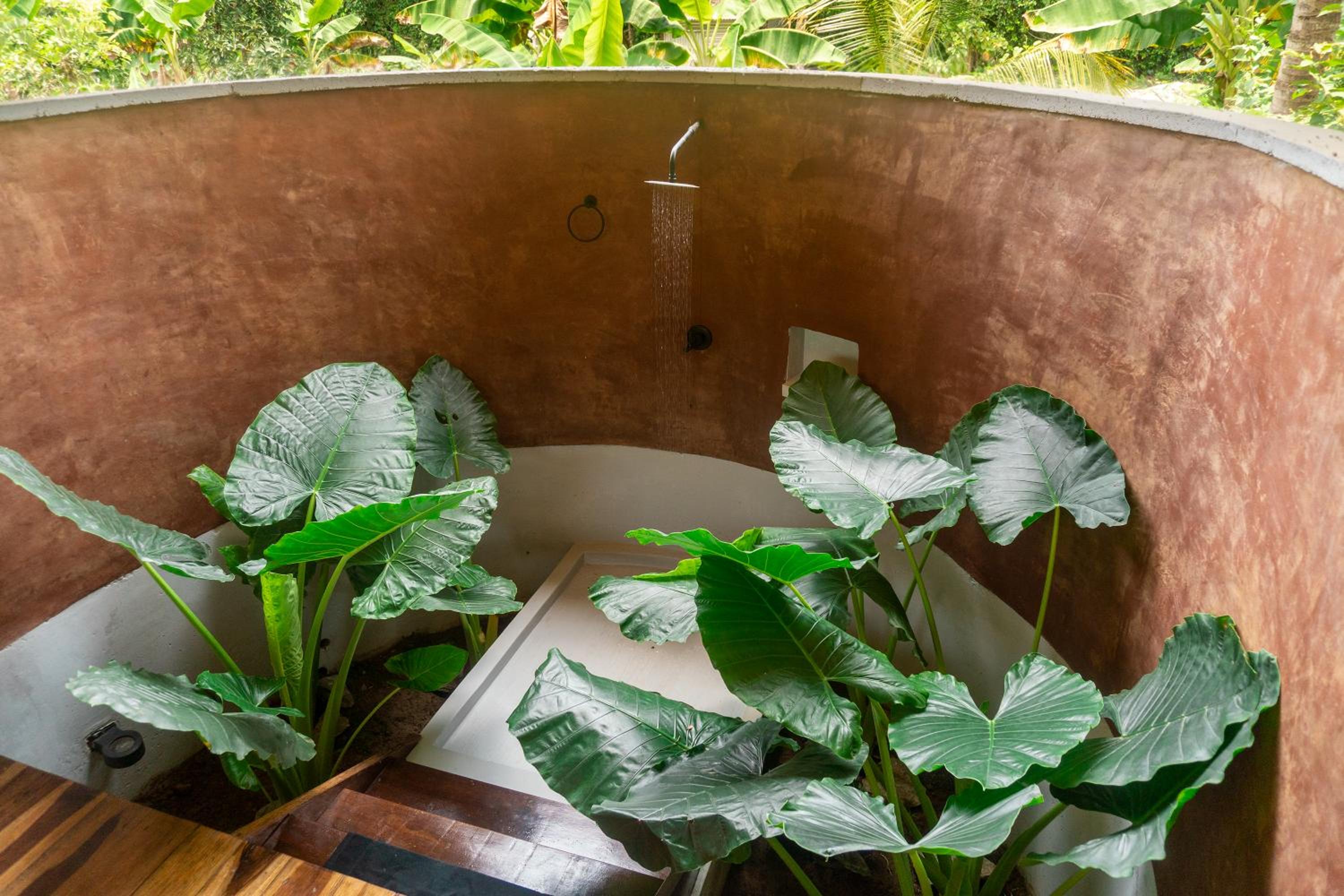 Cabañas con Jacuzzi, Tayrona vía Palomino - Villa Puy