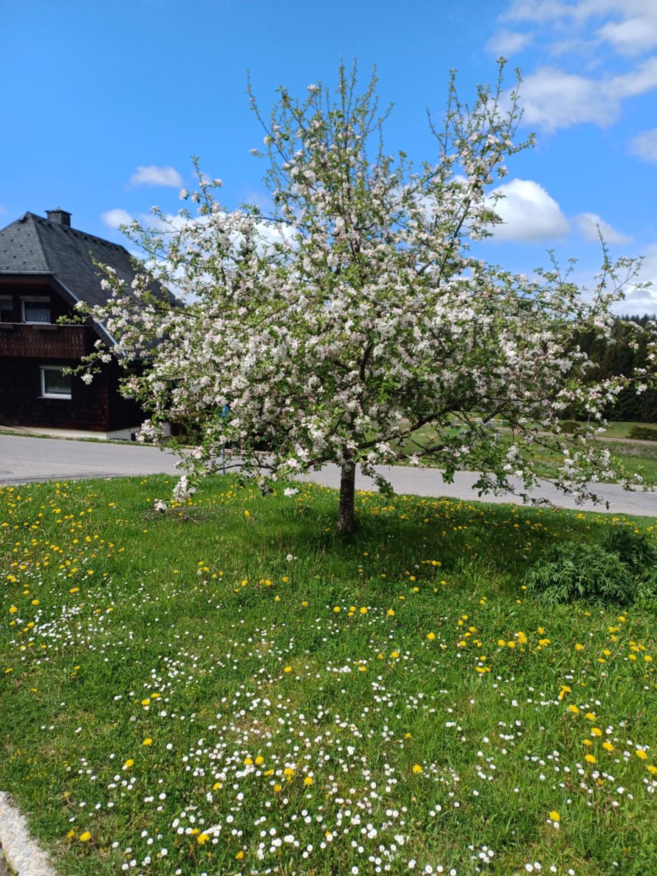 Ferienclub Erlenbruck