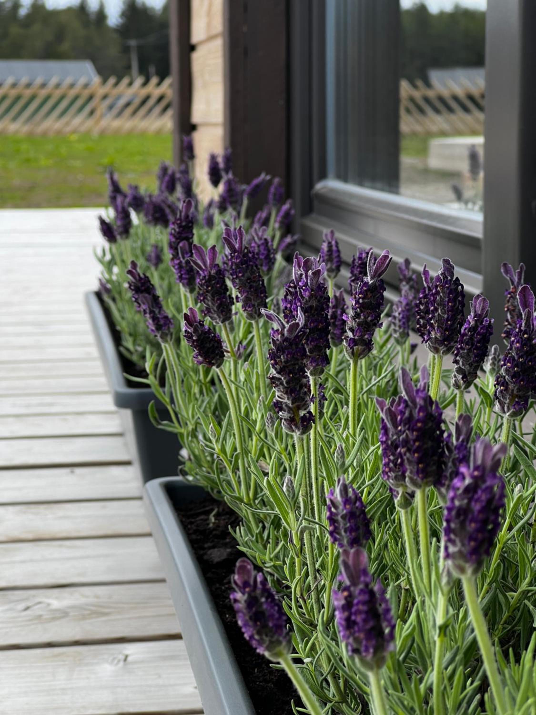 Spithamn Village House & Private Sauna Retreat