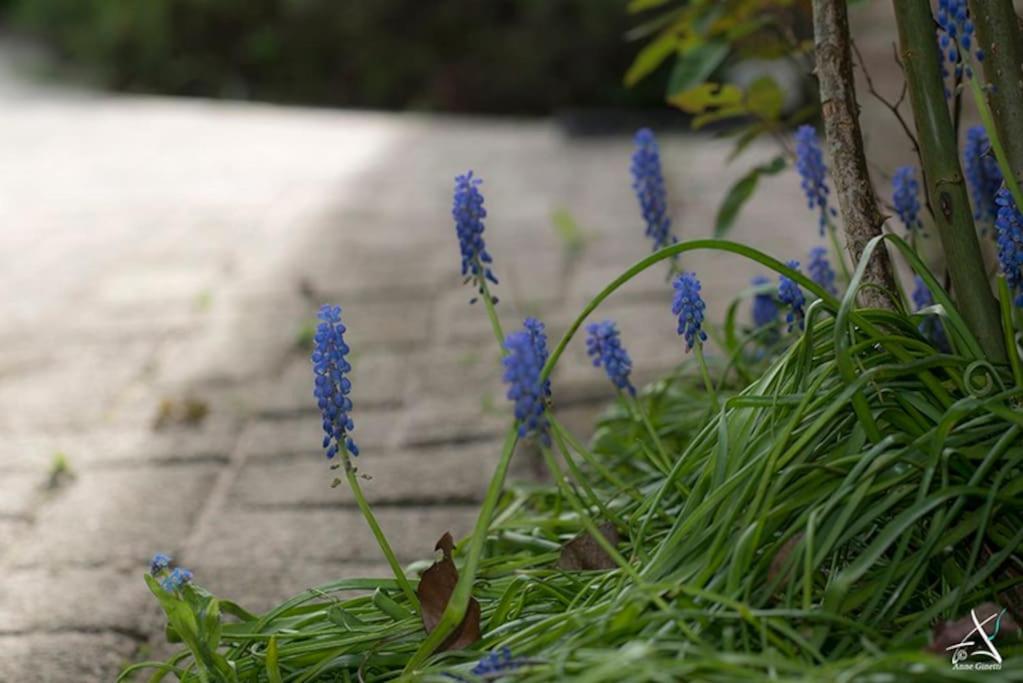 Le menhir bleu, gîte 2 personnes de plain-pied à Wéris
