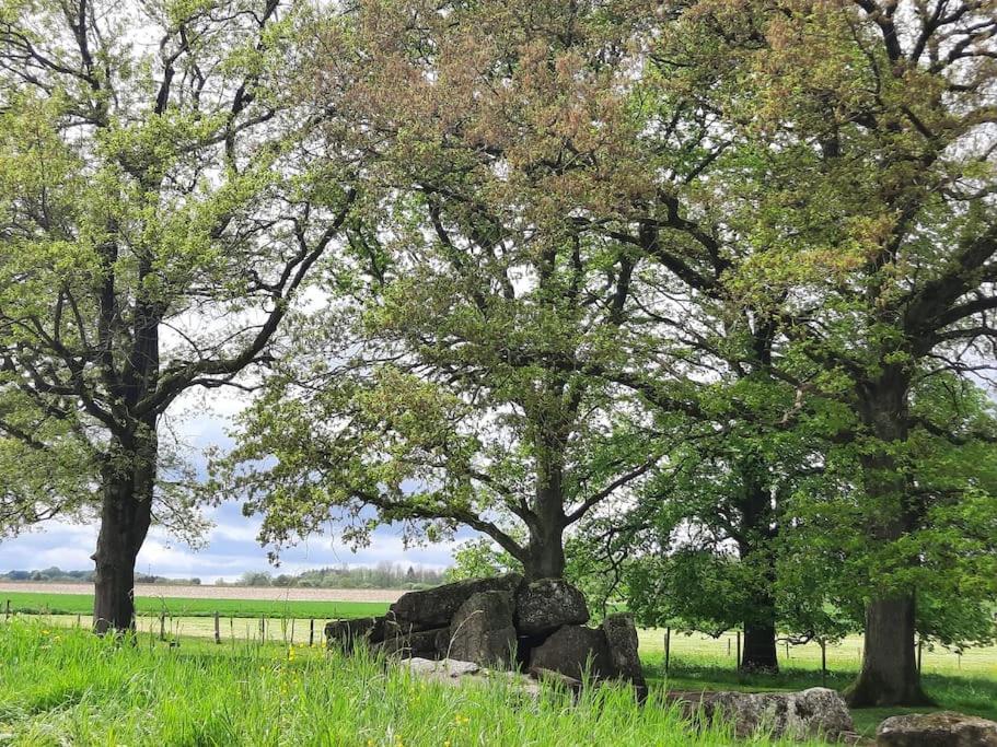 Le menhir bleu, gîte 2 personnes de plain-pied à Wéris