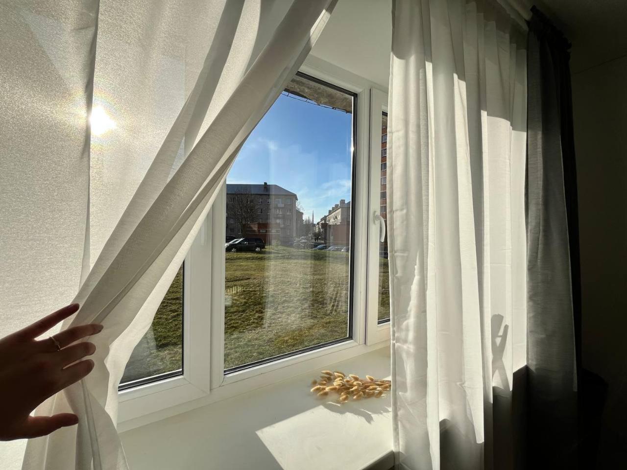 Baltic Zen