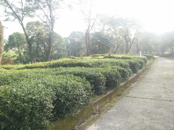 Hotel Bhavani Palampur view 2
