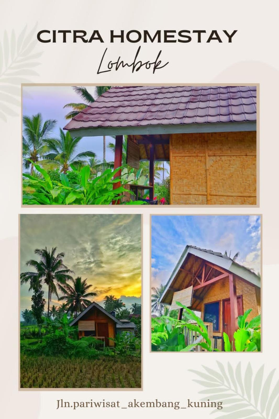 Citra Homestay