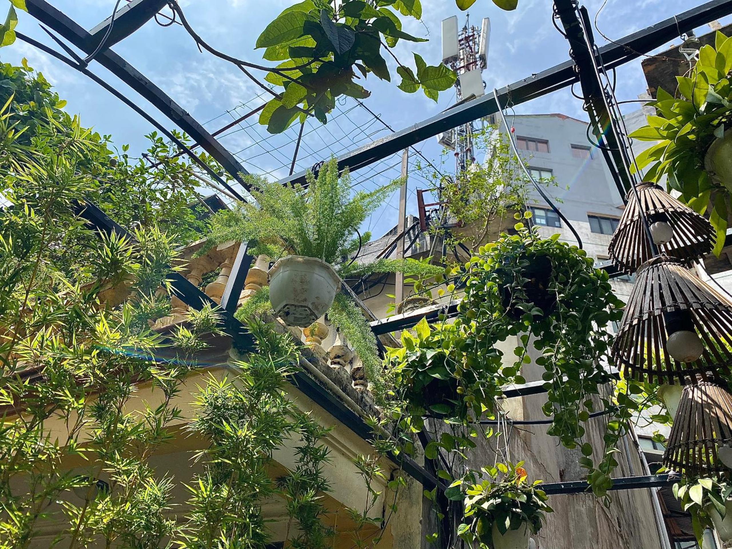 Green Mosaic Homestay