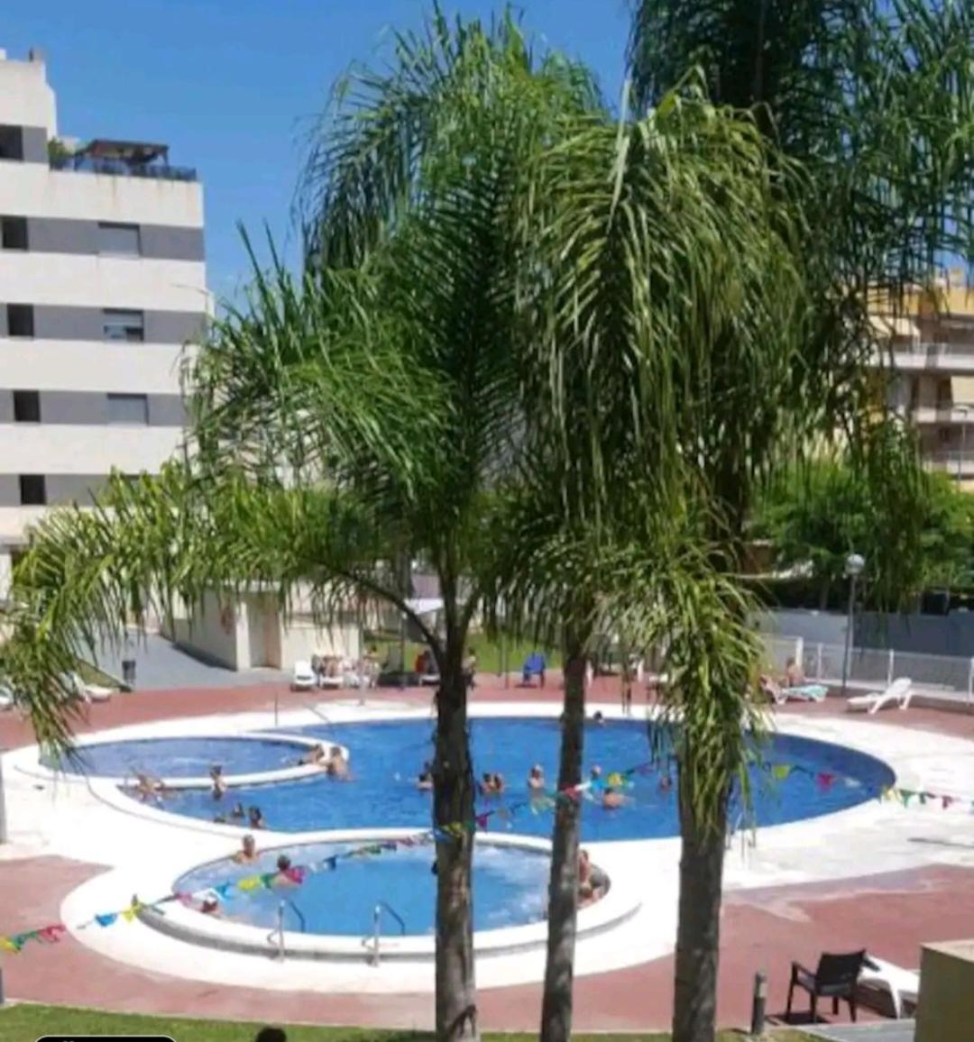 Oasis