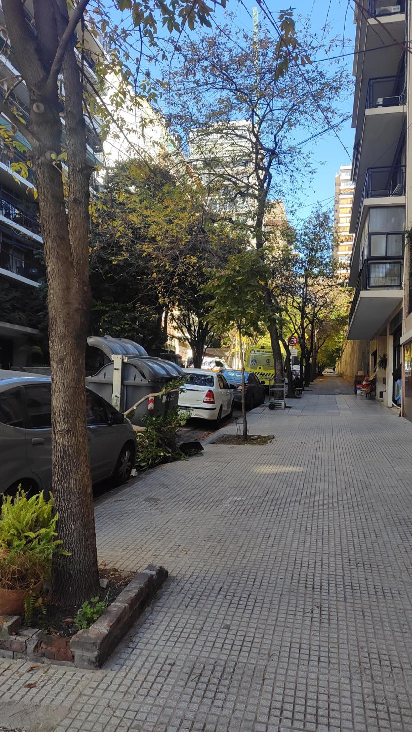 Barrancas de Belgrano, precioso estudio