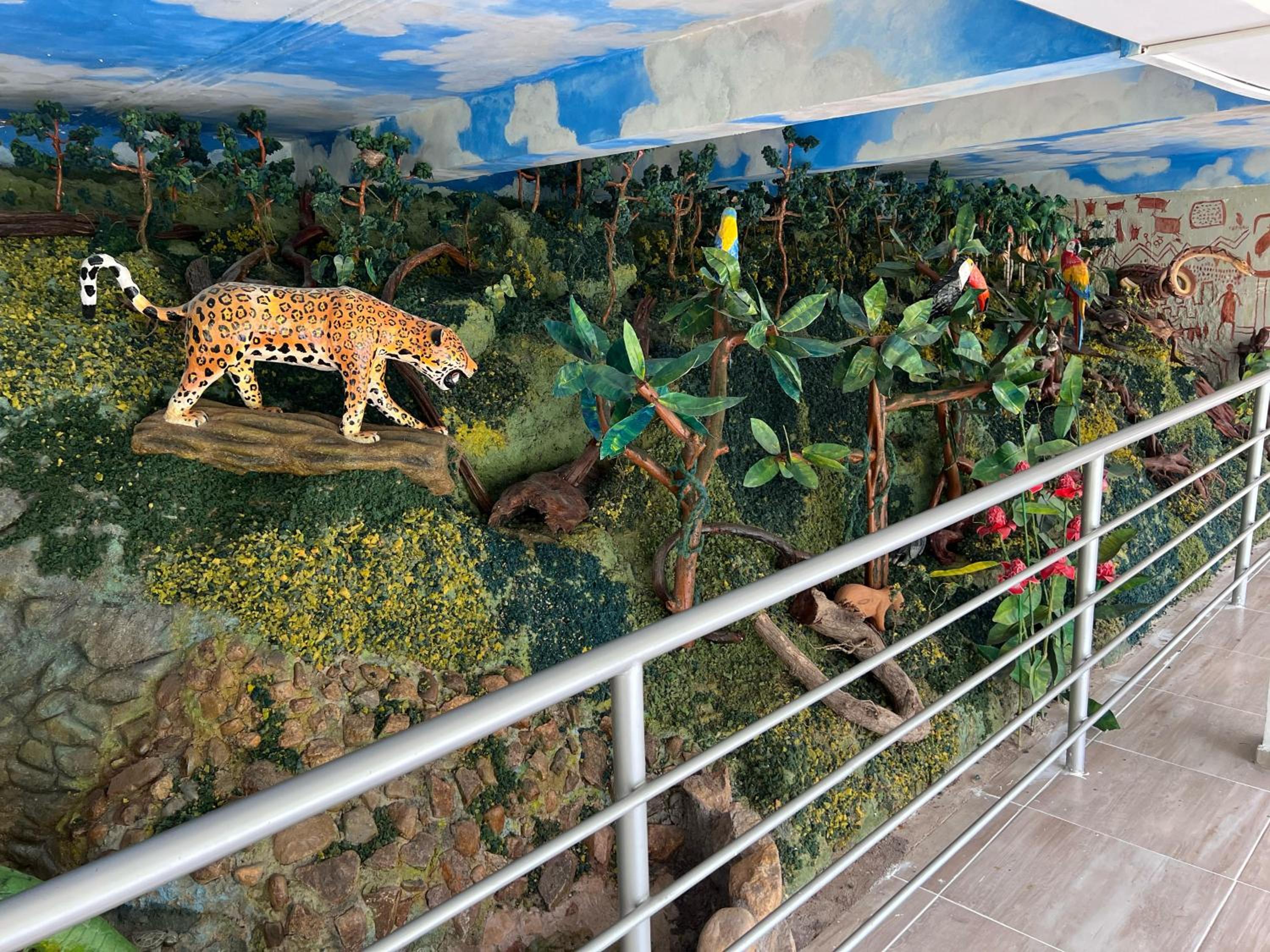 El desmadre villa lujosa Florencia, Caqueta